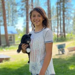 Havapoo Puppies from HopplevalleyPTA...(Puppies To Adore)