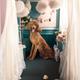 Roxy