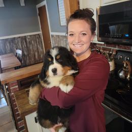 Bernese Mountain Dog Puppies from Muddy Paw Acres