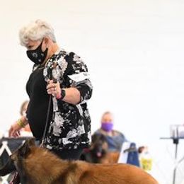 Belgian Tervuren from Bab Hanna