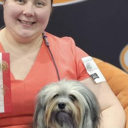 Lowchen from Nightsong Löwchen