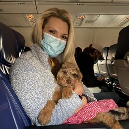 Aussiedoodle Puppies from Gore Doodle Ranch