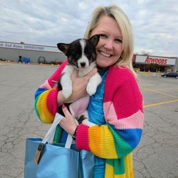 Betsy - Brindle and white female American Corgi puppy in Shawnee, Oklahoma from Sunray Ranch