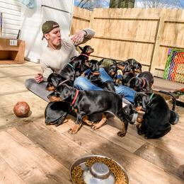 Doberman Pinscher Puppies from Imperium Dobermann Kennel