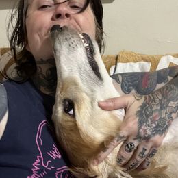 Borzois from Big River