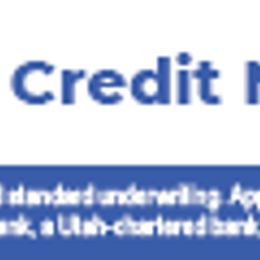 French Bulldog Puppies from Ruff it up frenchies