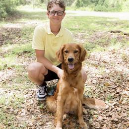 Shelby - Golden Retriever