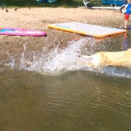 Labrador Retrievers from Labs on Sand kennel