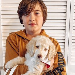 Cupid - Cream Goldendoodle puppy in Barnesville, Georgia from Sweet Peach Doodles