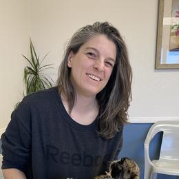 Shih Tzu Puppies from Willow Lane Shih Tzus