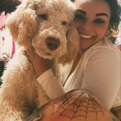 Labradoodle and Saint Berdoodle Puppies from ProAct Canines