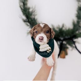 Golden Ring - 12 Days of Christmas - Merle male Goldendoodle puppy in Syracuse, Indiana from The Doodle Cove