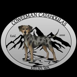 Catahoula Leopard Dog Puppies from Coweeman Catahoulas