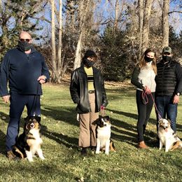 Australian Shepherd Puppies from Highline