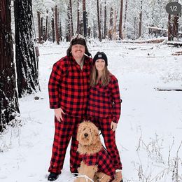 Bernedoodle and Goldendoodle Puppies from K+C Doodles