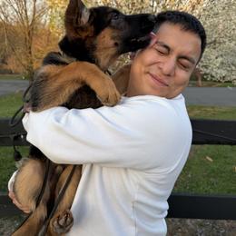 H. Rocky Starry Night - Black and red male German Shepherd puppy in Purcellville, Virginia from Starry Night German Shepherd Dogs