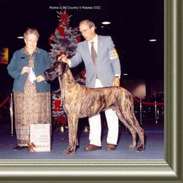 Barkley - Great Dane