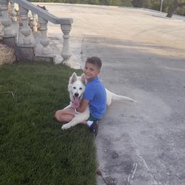 Berger Blanc Suisse and German Shepherd Puppies from Scenic Creek German Shepherds and White Swiss Shepherds