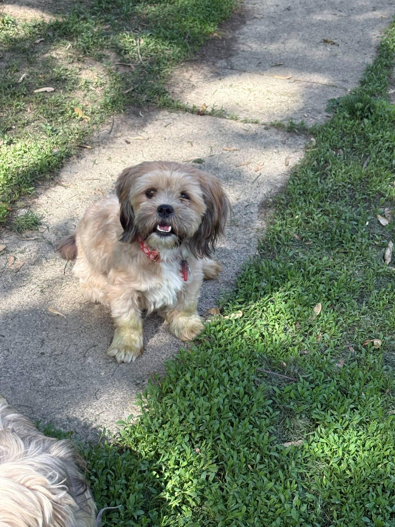Maggie