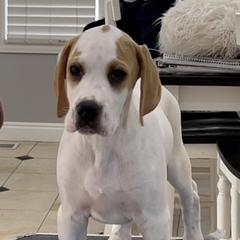 Pointers from Playlist Pointers