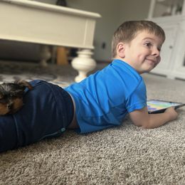 Yorkshire Terrier Puppies from Celestial Family Terriers (Yooper Yorkies)