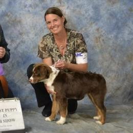 Miniature American Shepherds from Heavenly Springs Farms