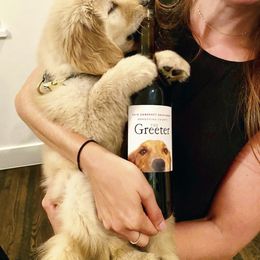Golden Retriever Puppies from Briarcrest Golden Retrievers