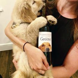 Golden Retriever Puppies from Briarcrest Golden Retrievers