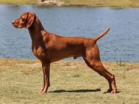 Unannounced at this time