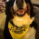 Fiona