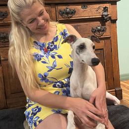 Cooper - White and red brindle male Whippet puppy in New Port Richey, Florida from Trezlar Whippets
