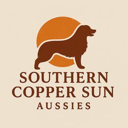 Australian Shepherds from Southern Copper Sun Aussies