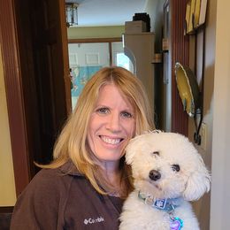 Callie - Bichon Frise