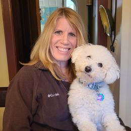 Callie - Bichon Frise