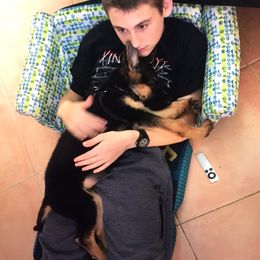 German Shepherd Puppies from Finca Vom Chaveco