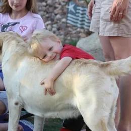 Labrador Retriever All Grown Up from High Roller Labradors