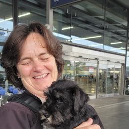 Miniature Schnauzer Puppies from A'Lord Miniature Schnauzer