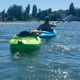 Labrador Retriever Puppies from Cecilie Drege