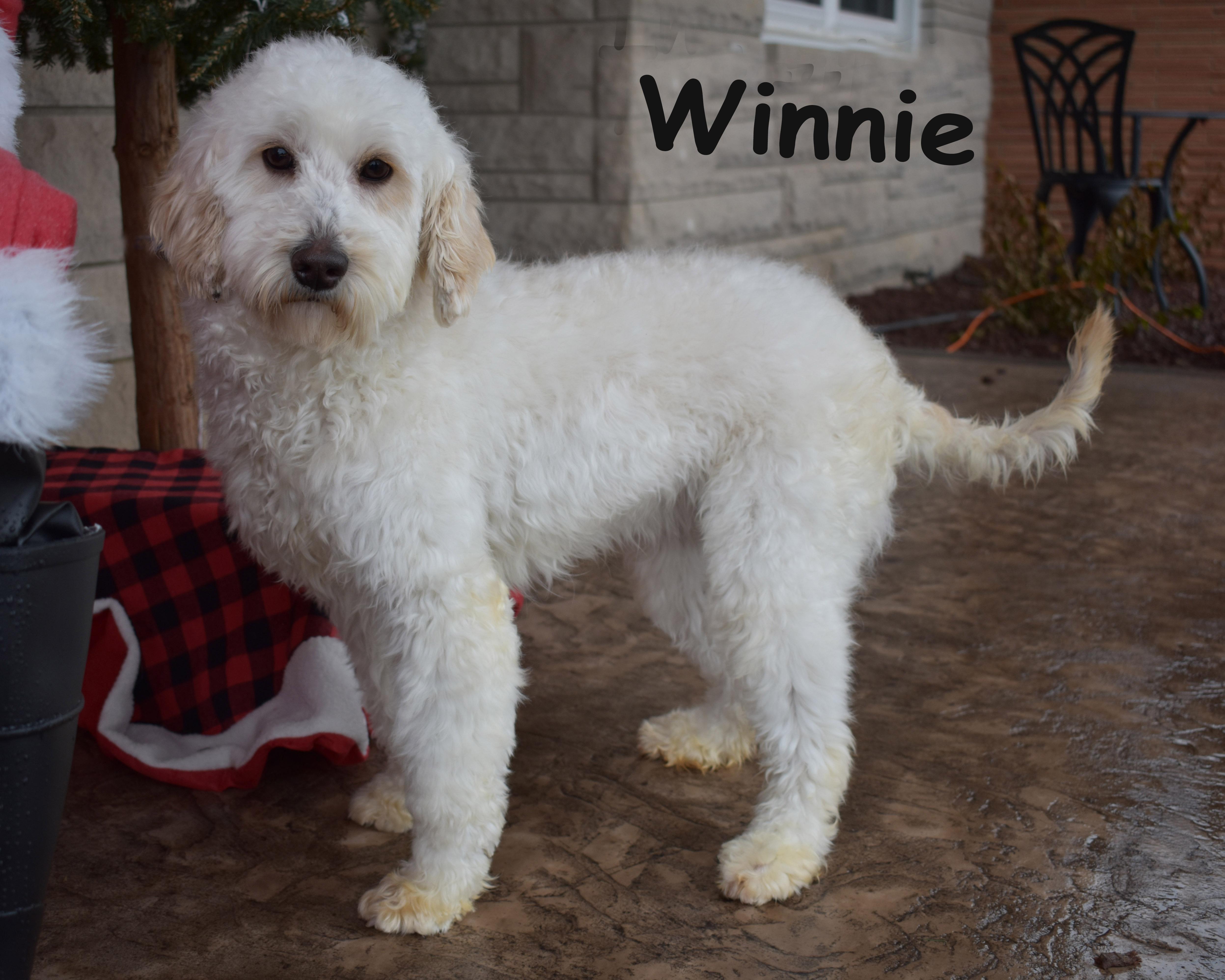 Winnie