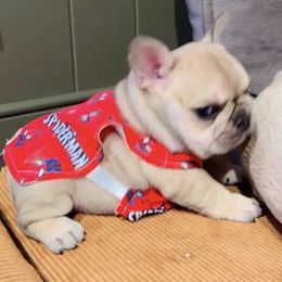 French Bulldog Puppies from The Midwest Frenchies