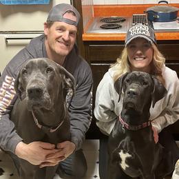 Great Danes from Bull West Kennels