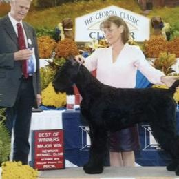 Giant Schnauzers from Carolina Giant Schnauzers