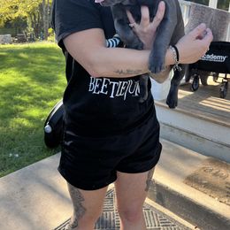 French Bulldog Puppies from Frenchie Love Bugs