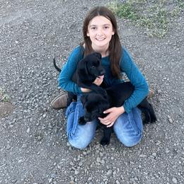 Labrador Retriever Puppies from Angela Zeyfang
