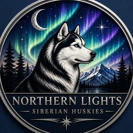 Siberian Huskies from Northern Lights Siberian Huskies