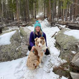 Australian Shepherd All Grown Up from Wexford Creek Aussies