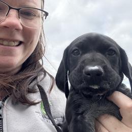 Orange Collar Female - Black roan female German Shorthaired Pointer puppy in Onalaska, Washington from Boonies Farms