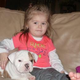 Bulldog Puppies from Itsabulldogthing