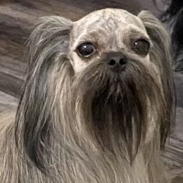 Tiffany - Mi-Ki