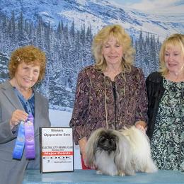 Echo - Pekingese
